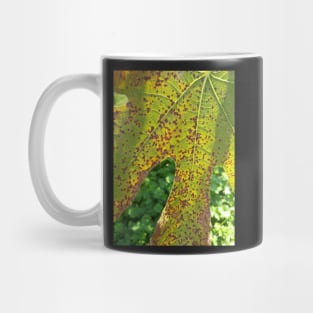 Leaf rot Mug